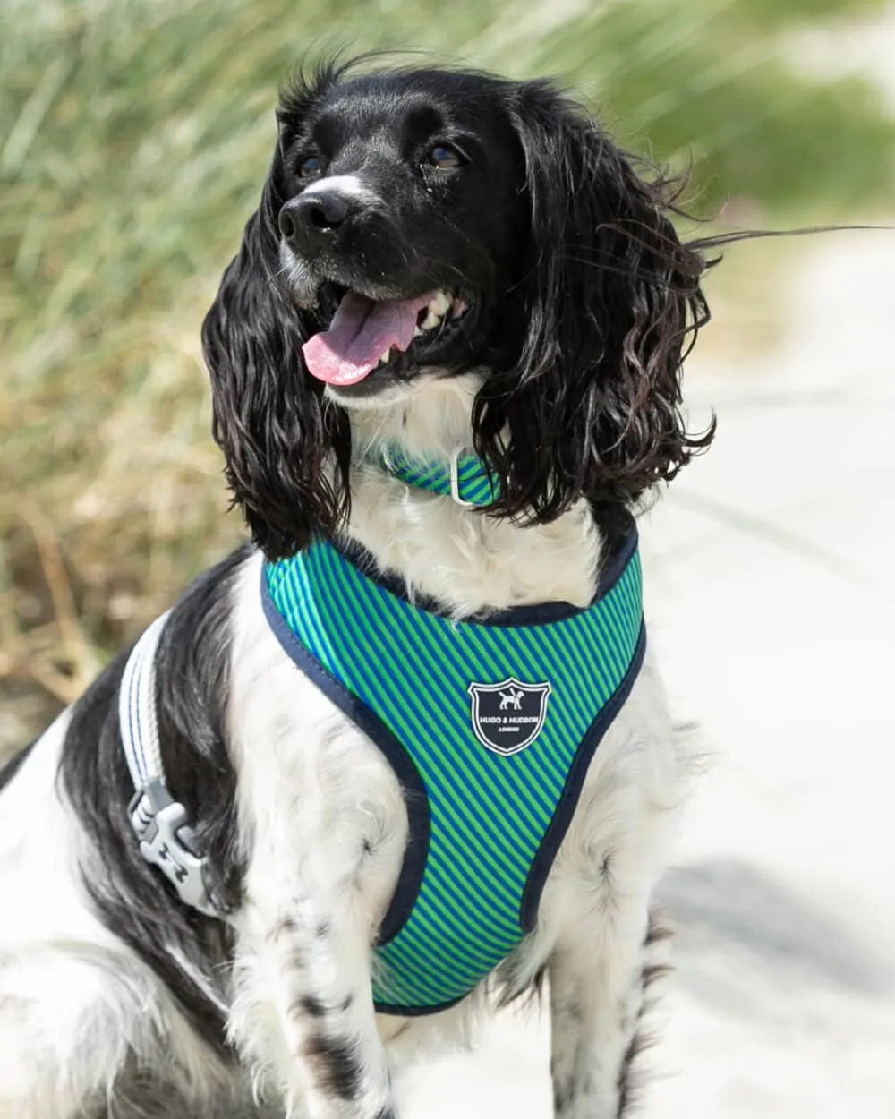 Fabric Dog Harness - Striped Navy and Green