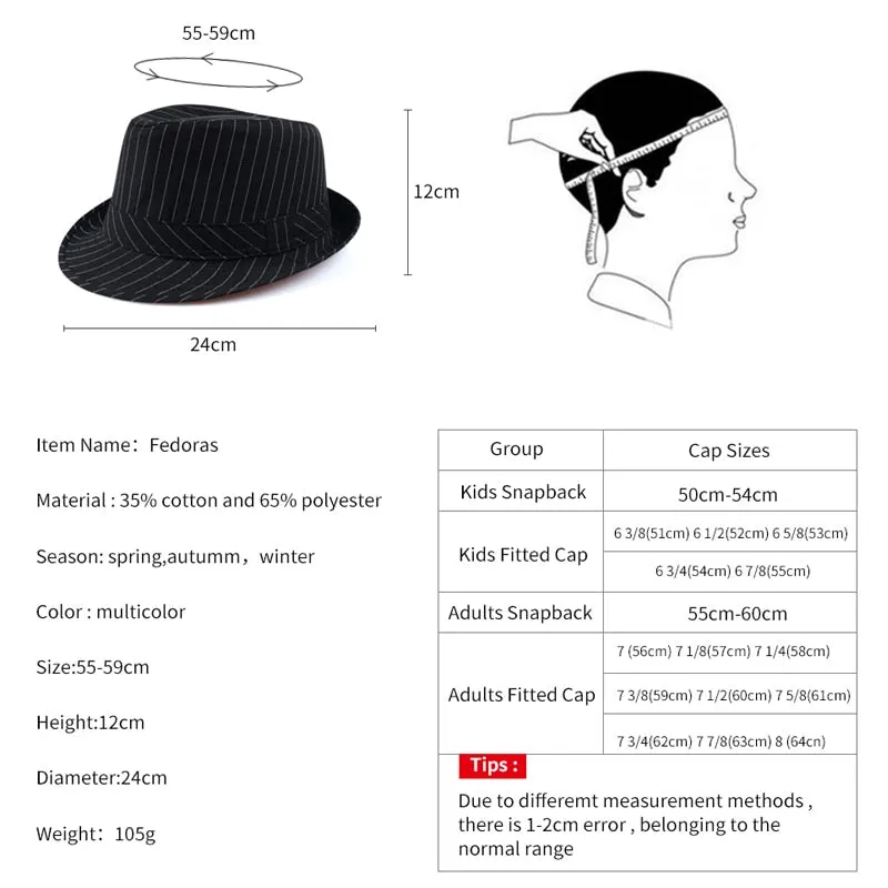 Wide Brim Stetson Fedora Hat with Fitted Design